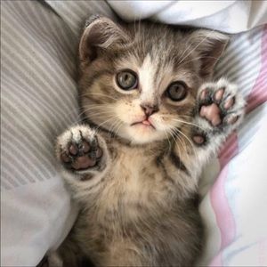 Meet your Posher, Kim